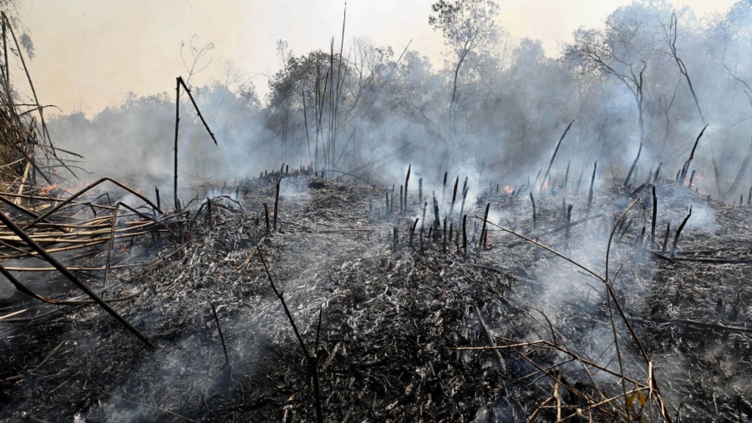 El Gobierno declaró el estado de emergencia y de desastre agropecuario en Corrientes