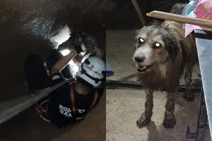 Bomberos Voluntarios