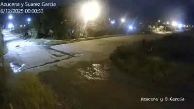 El animal fue detectado por las cámaras del Centro de Monitoreo.