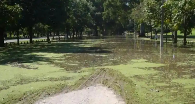 Con el Paraná en baja, el alerta sigue