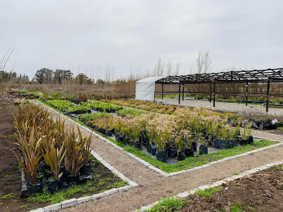 Trabajos en el vivero municipal