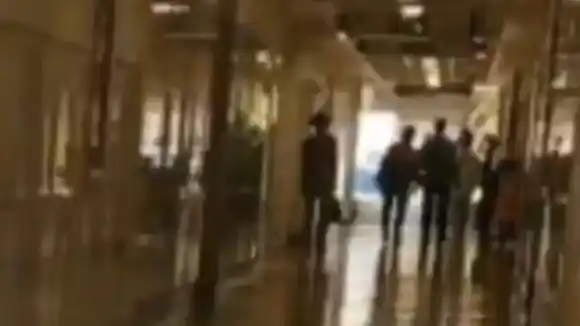 Aparece imagen del Dr José Gregorio Hernández en hospital de Caracas: Esto es lo que se sabe (+Video)