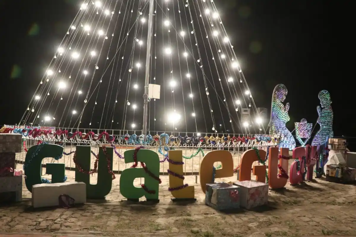 El arbolito del puerto encendió sus luces para celebrar la Navidad