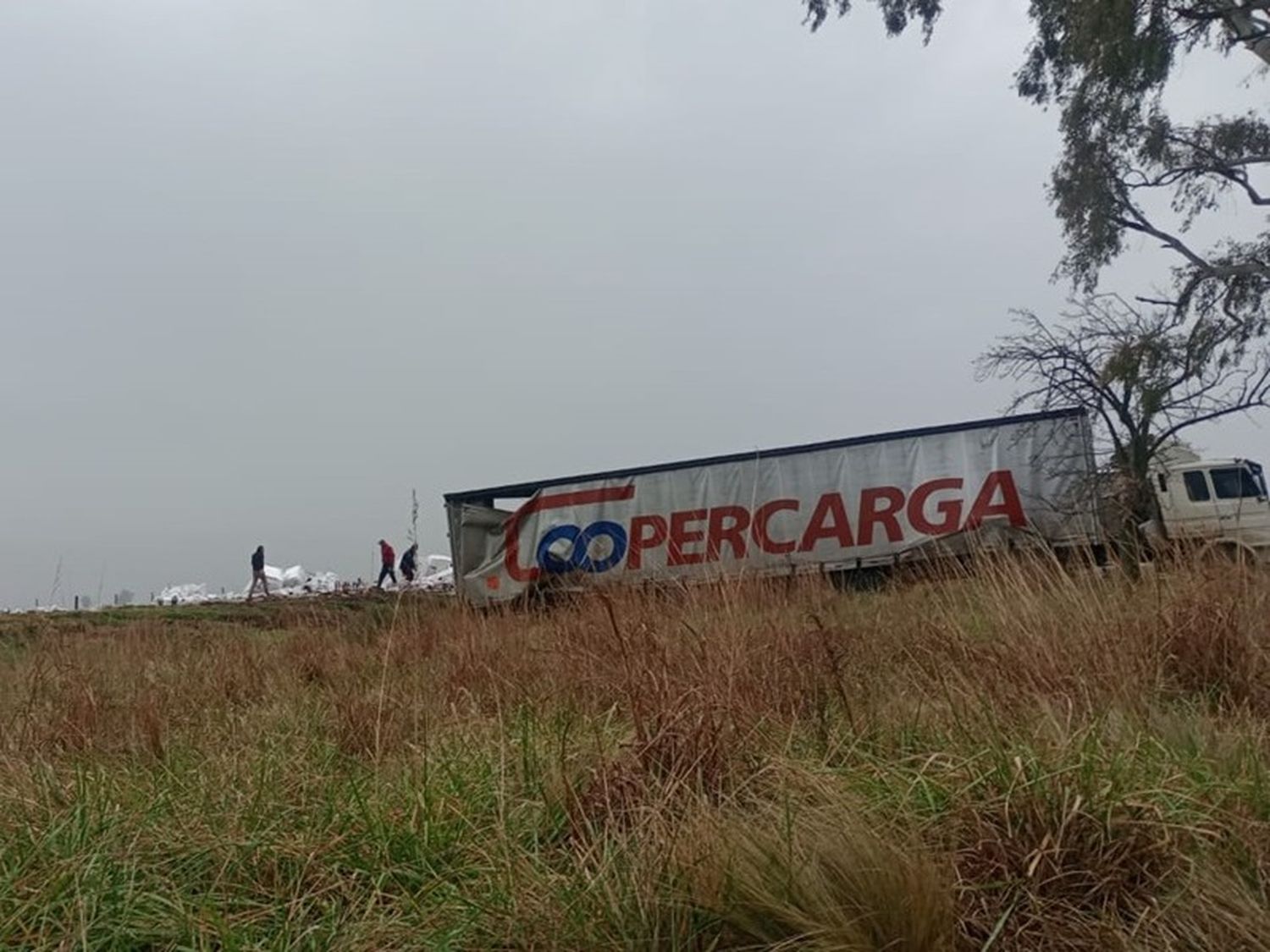 Un camión que transportaba botellas de vino, volcó en la ruta 33