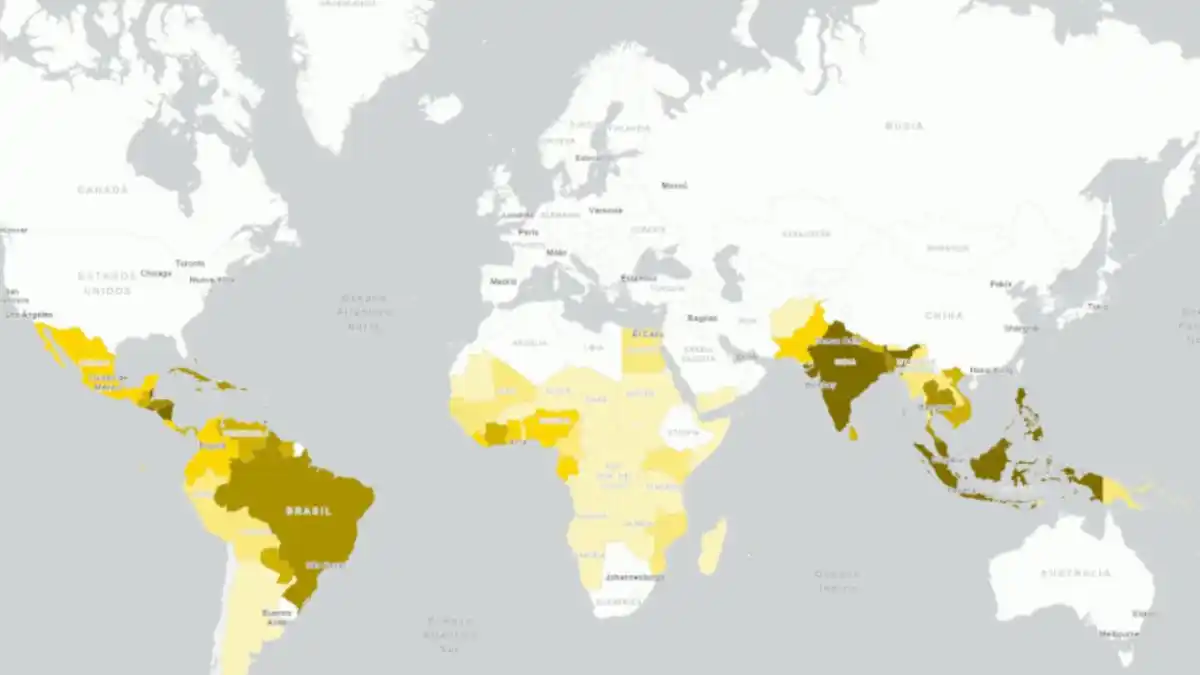 PELIGRO DE BROTE DE DENGUE: OMS contabiliza más de 4 millones de casos en América