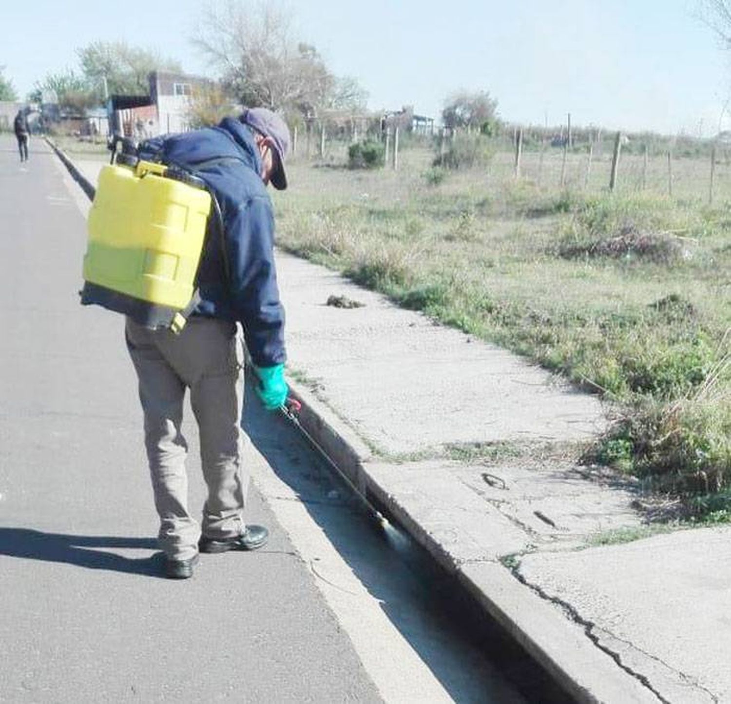 La Municipalidad trabaja  preventivamente en el  control de los mosquitos