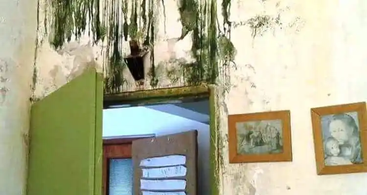 Paredes deterioradas en el jardín 903
