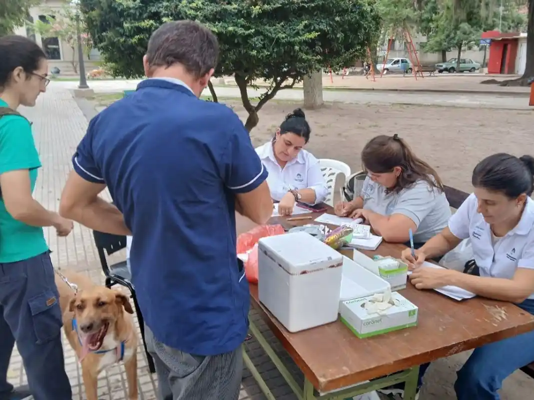 Llevarán a cabo una jornada gratuita de vacunación antirrábica en el corsódromo