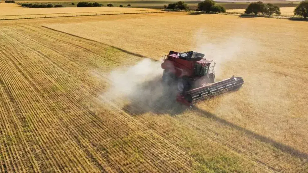 Producción agropecuaria. Empieza sentir el aumento de los costos por la guerra