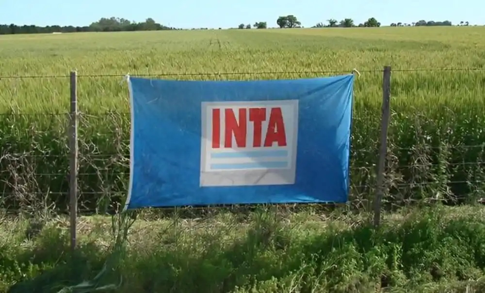 Avanza el ajuste en el INTA: cierran 14 agencias en la provincia de Buenos Aires y en Córdoba