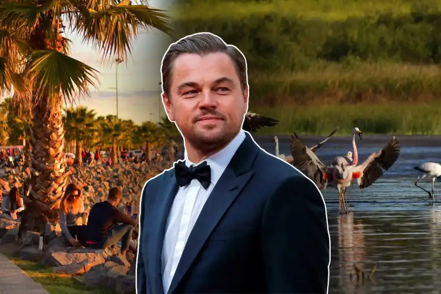 Orgullo argentino: Leonardo DiCaprio felicitó al país por una particular decisión y el posteo no tardó en viralizarse