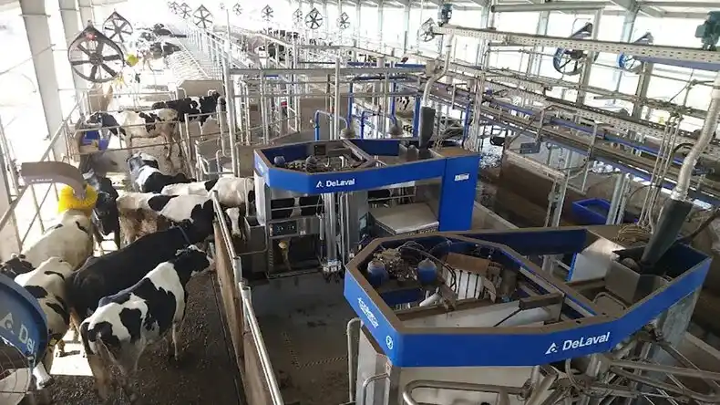 La cooperativa Manfrey  mostrara en el Tour Lechero de TodoLáctea sus vacas ordeñadas por cuatro robots DeLaval.