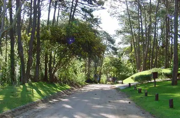 Verano en Pinamar: Cariló es la más elegida y el turista prefiere apart o casas con pileta            