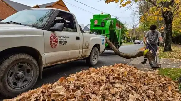 Suman herramientas para la recolección de hojas secas que se acumulan en las calles