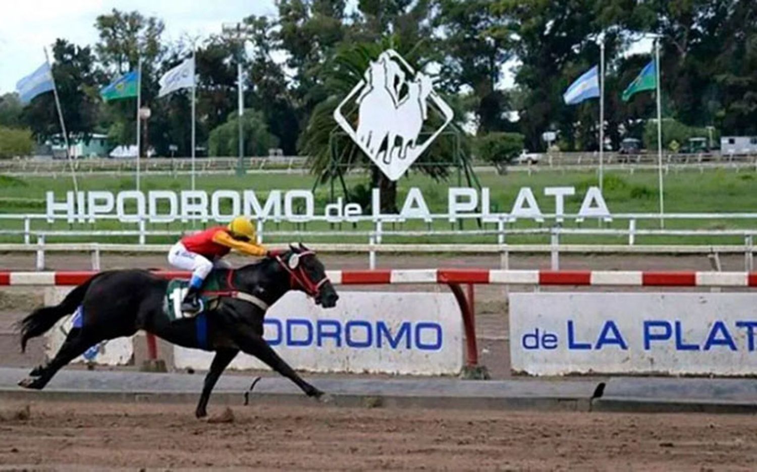 Martes 30/01: Actividad Hipódromo de La Plata