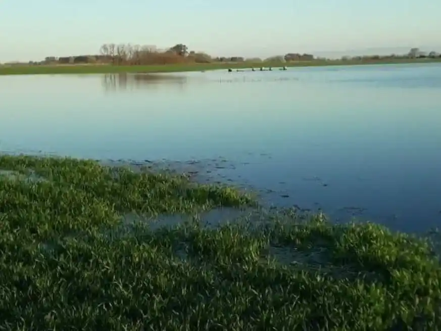 Para el día miércoles hay probabilidad de precipitaciones en el sur y este de GEA.