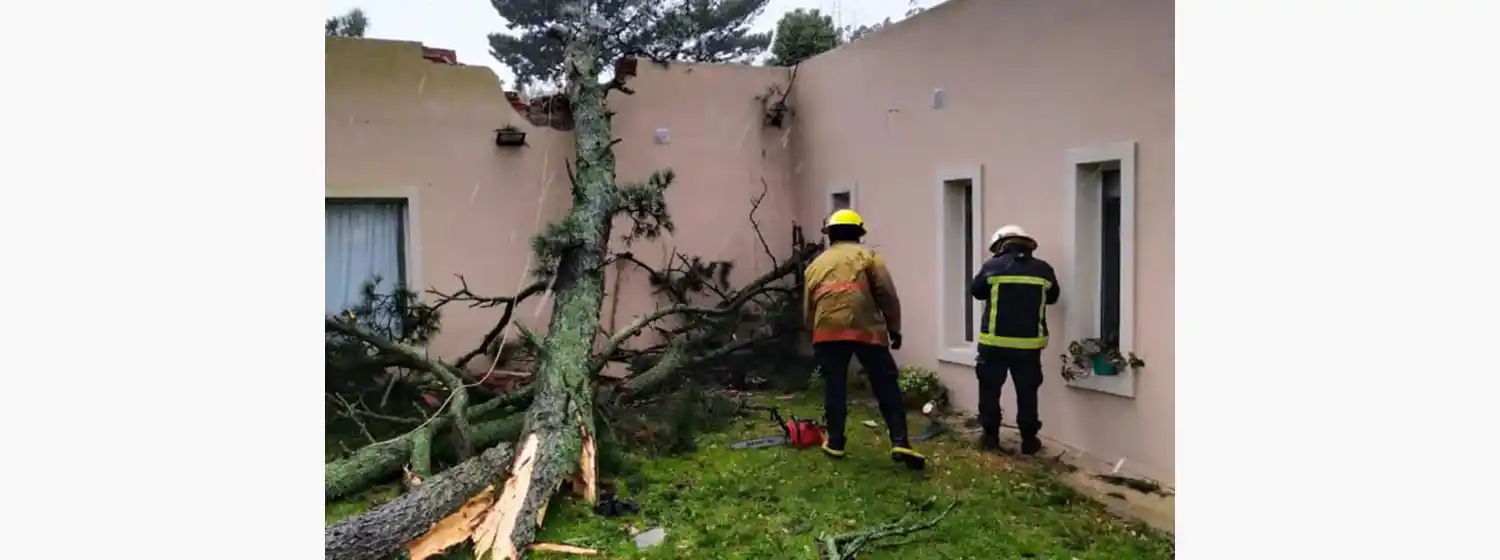 Un árbol cayó sobre una vivienda en Sierra de Los Padres