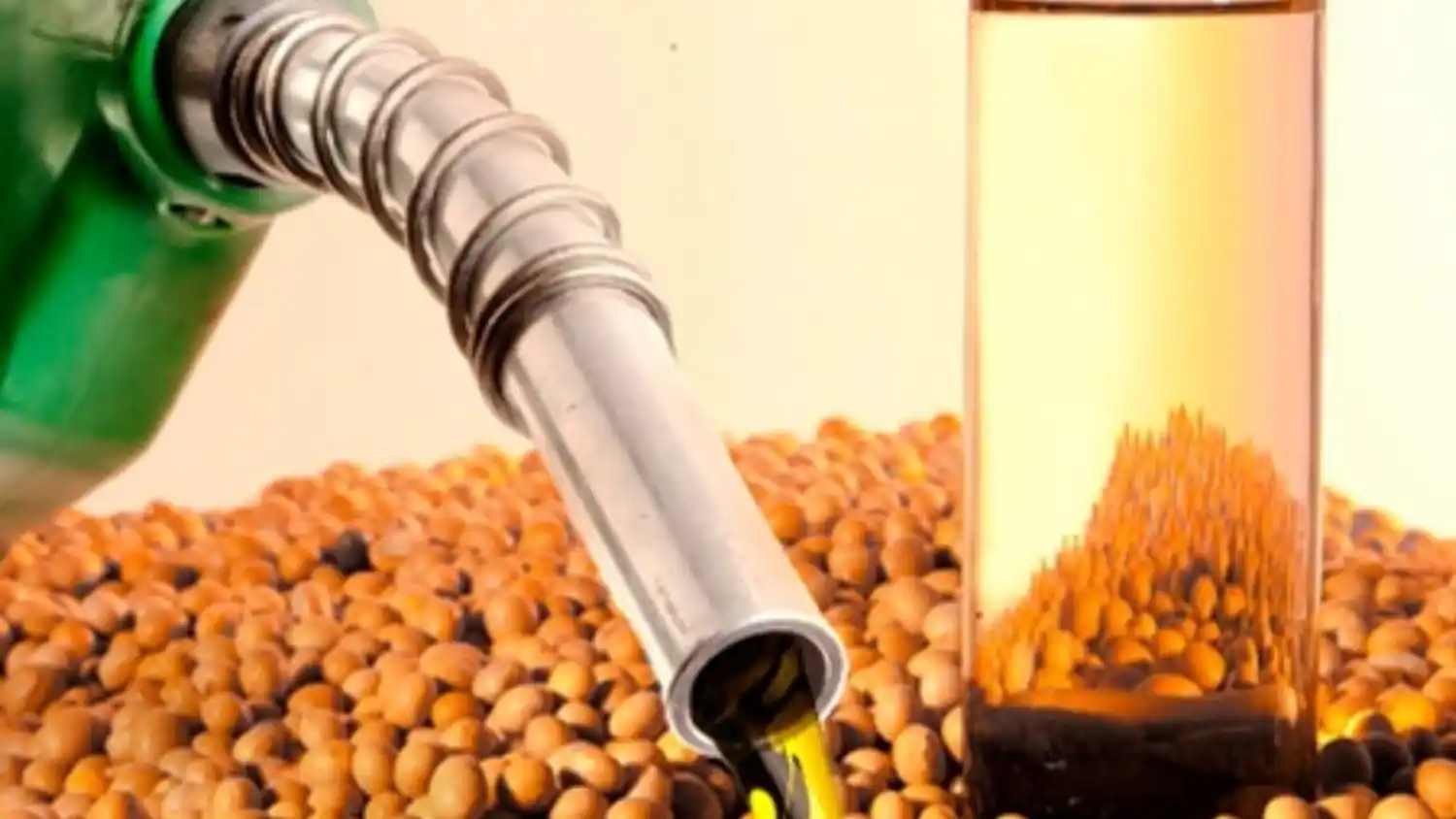 El gobierno otorgó un aumento del 5,6% en el biodiesel