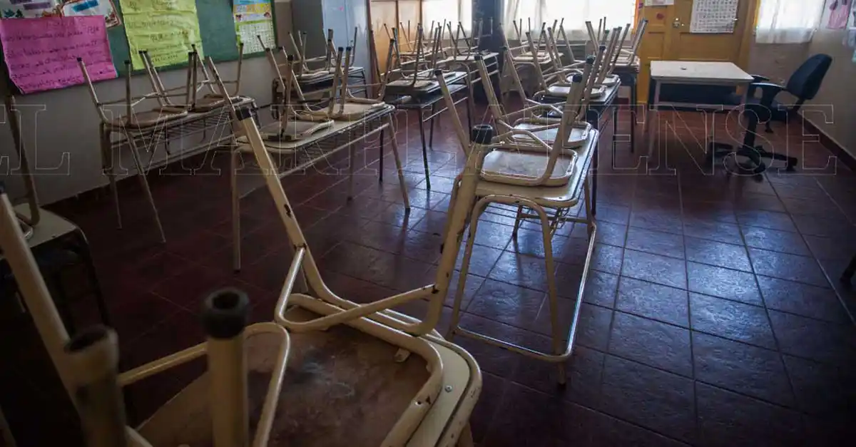 Advierten que las apariciones de ratas en escuelas "se dan a diario"