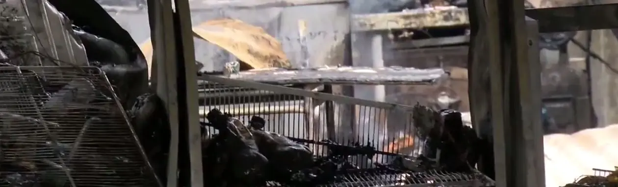 Captura De 12 a 14 (El Tres).