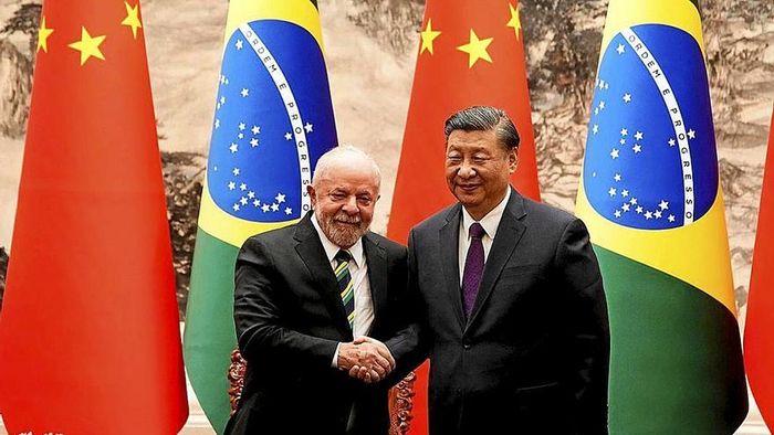 Campor Internacional