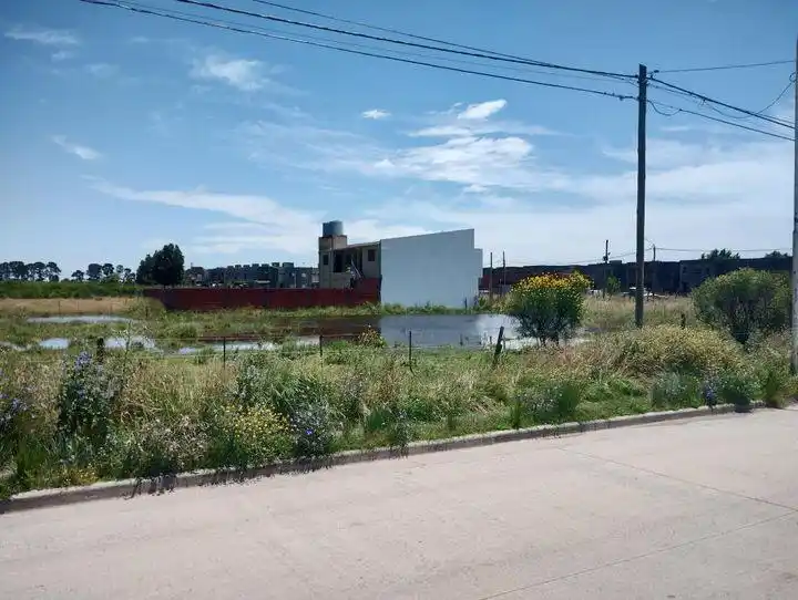 temporal tandil 17-12-23 - 7