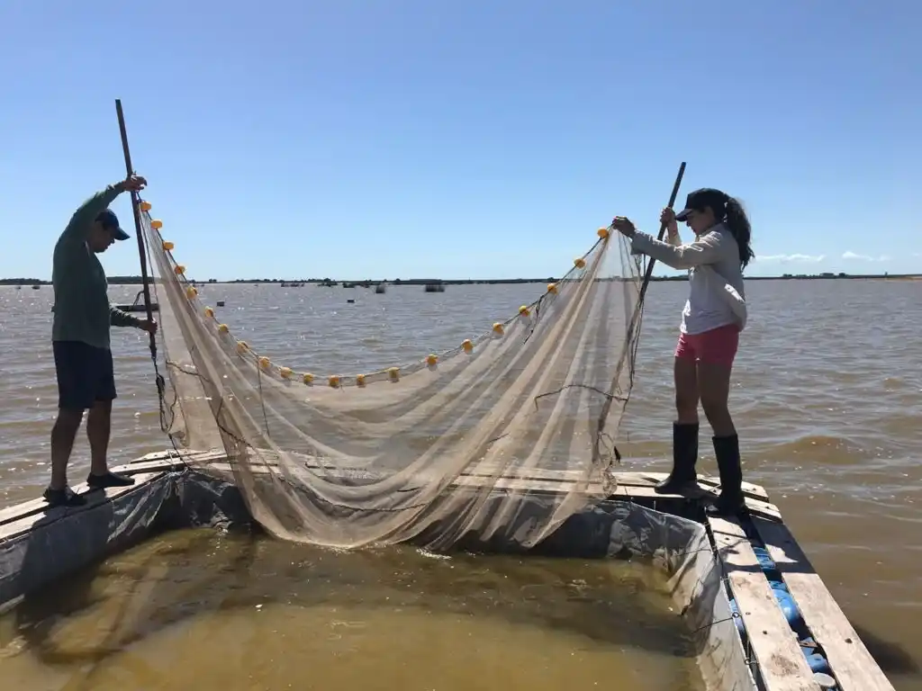pesca
