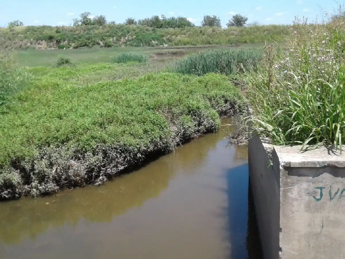 Municipio intensifica la limpieza  de canales de desagües pluviales