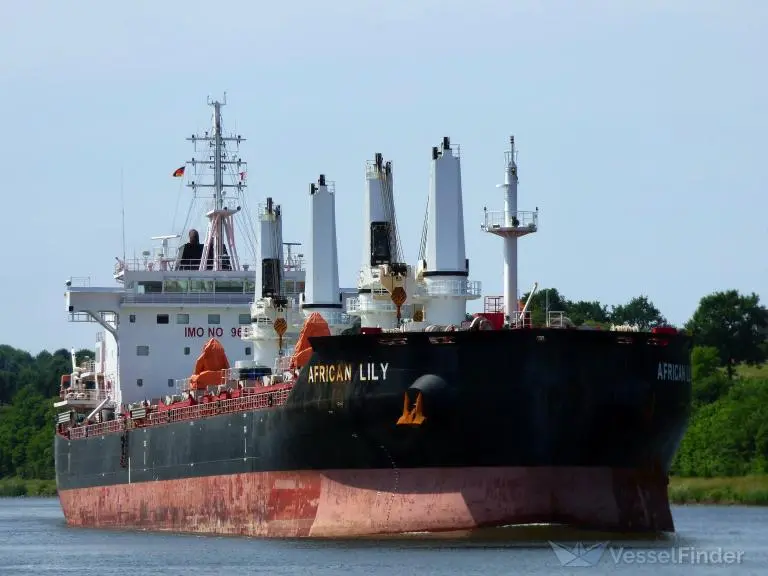 Arribó buque cerealero que cargará trigo a granel en el puerto