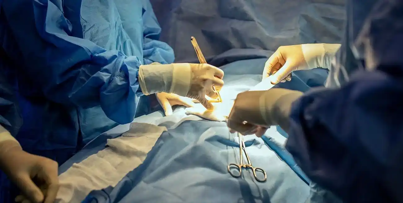 Santa Fe fue una de las provincias con más donaciones de órganos en 2024: la importancia de donar.