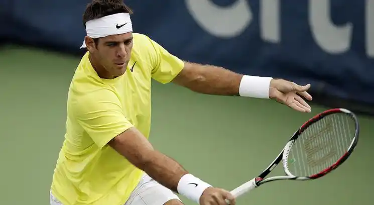 ATP 500 de Washington: Del Potro venció a Anderson y avanzó a semifinales
