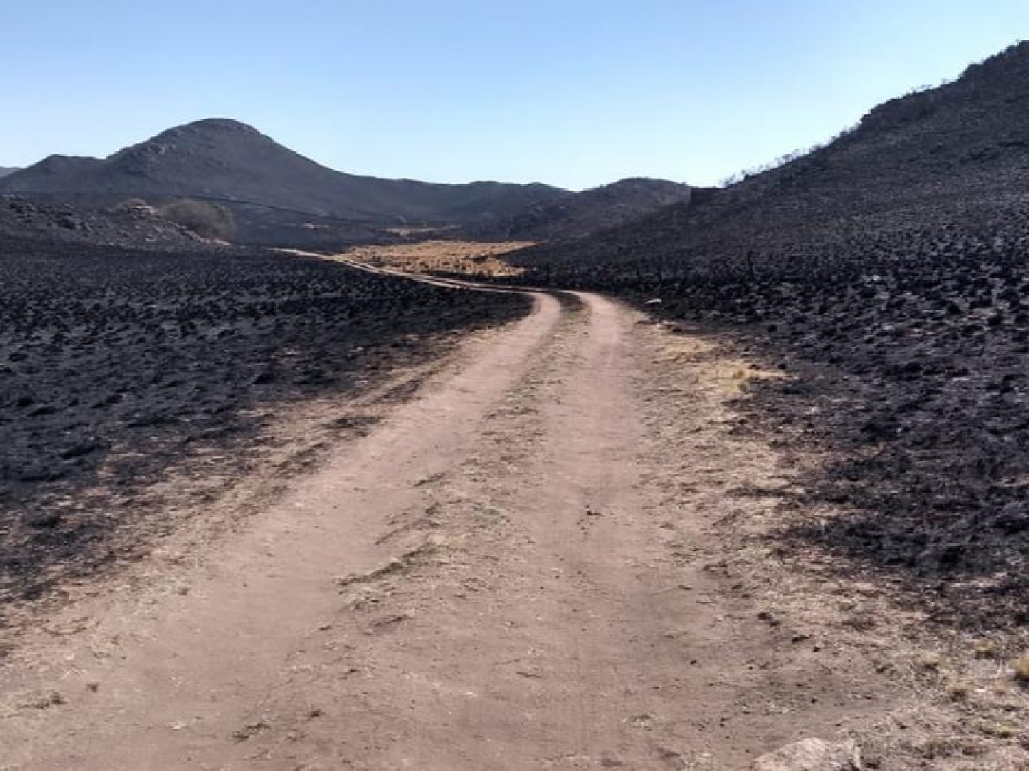 En las Sierras siguen activos algunos focos de incendios y la lluvia no llega