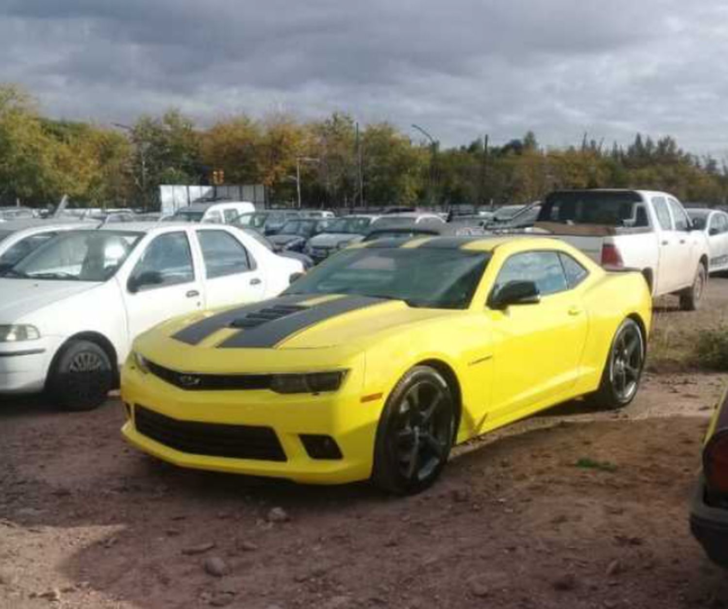 camaro