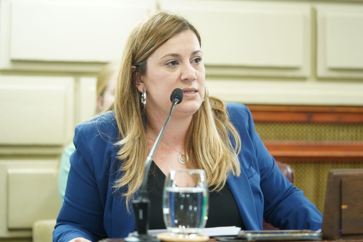 Diputada provincial Georgina Orciani.