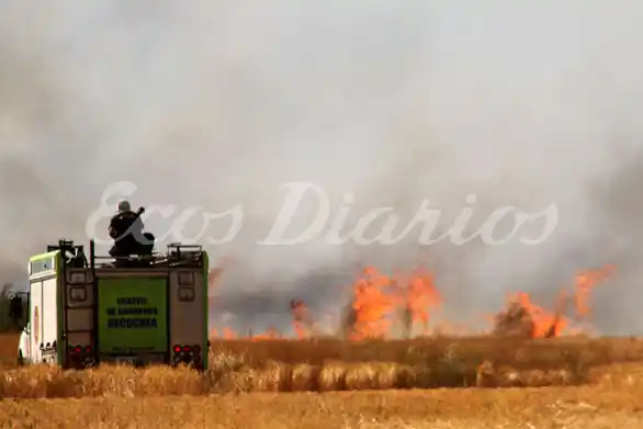 Fuertes focos de incendio en forma simultánea castigaron a Quequén