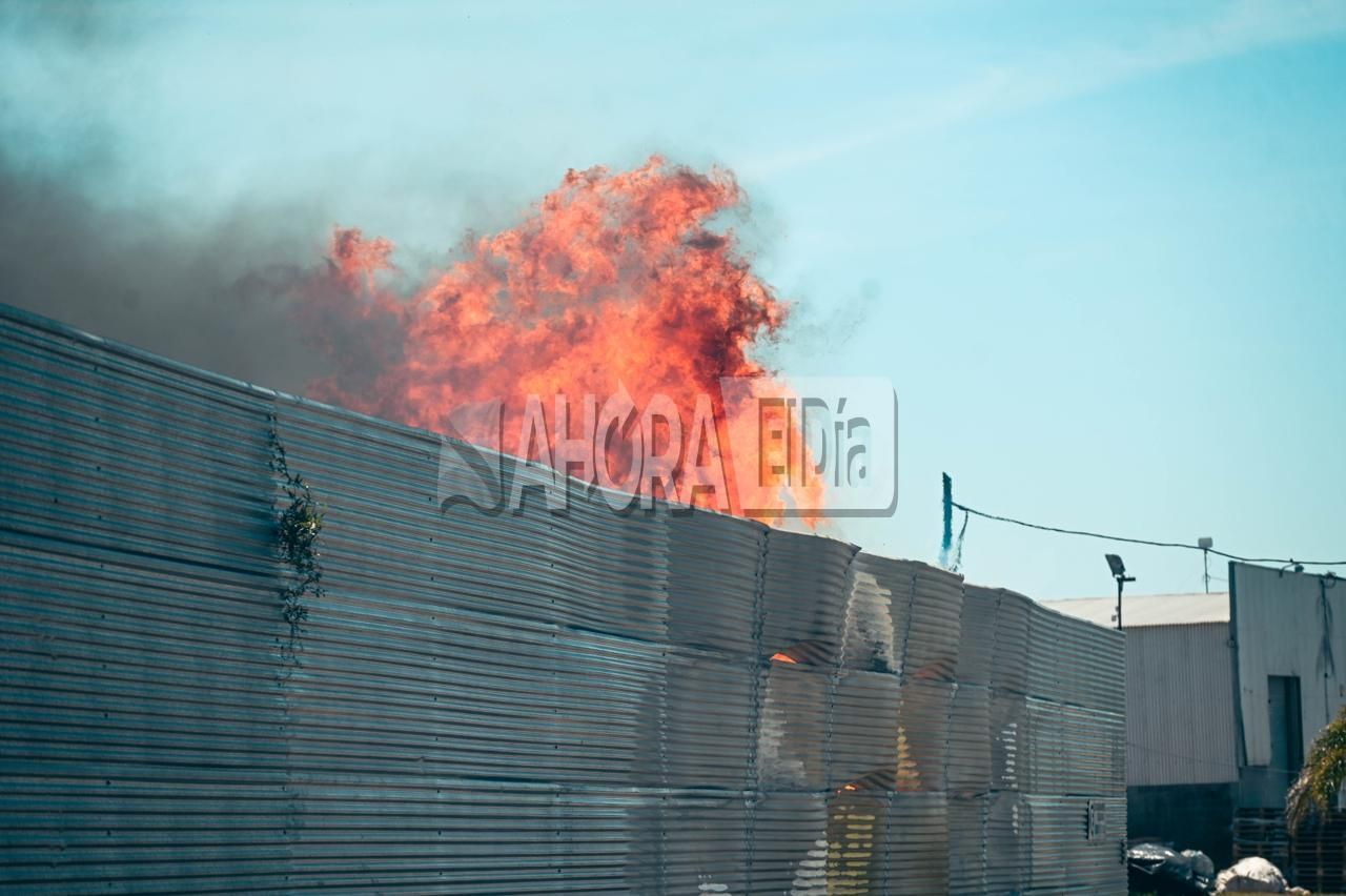incendio pallets - 5