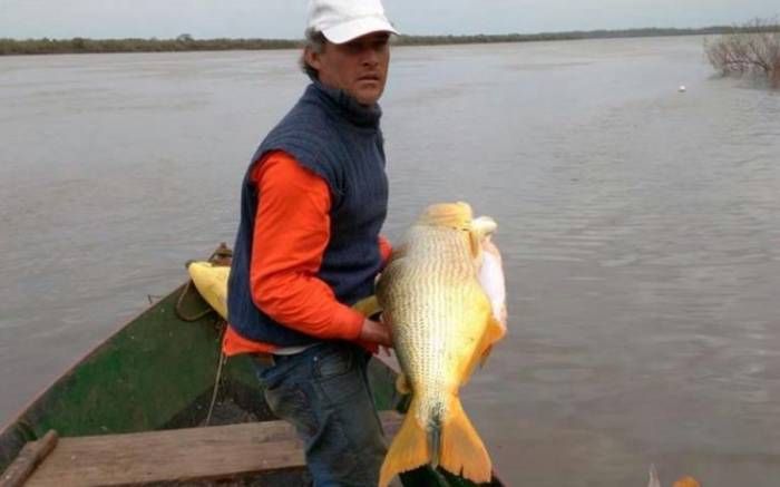 Realizarán un "pescadazo" en el Congreso para visibilizar la  problemática del sector