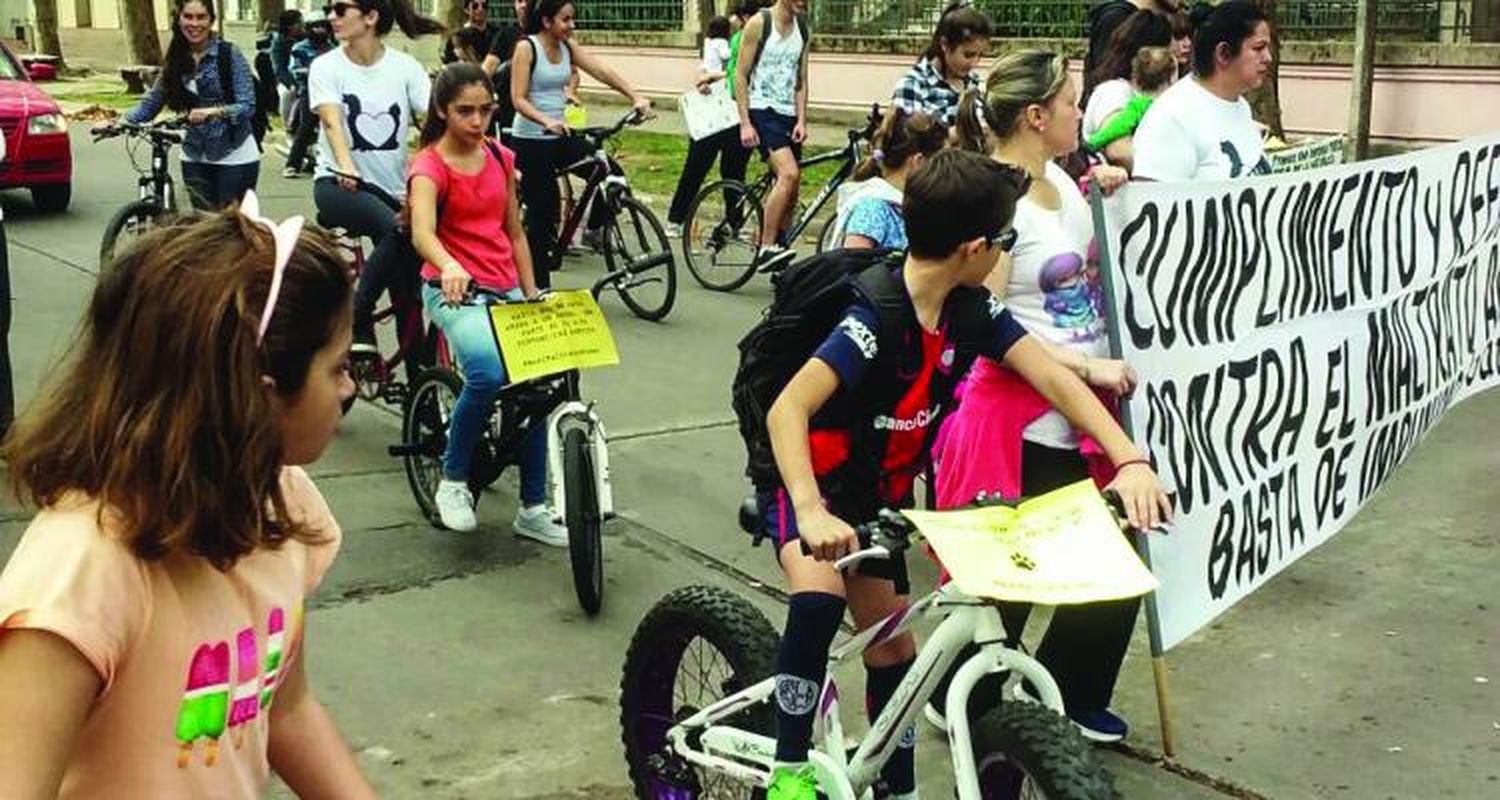 Marcha contra el maltrato animal