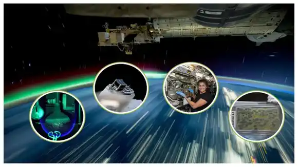 Las mejores imágenes científicas de la Estación Espacial Internacional tomadas por la NASA durante 2024