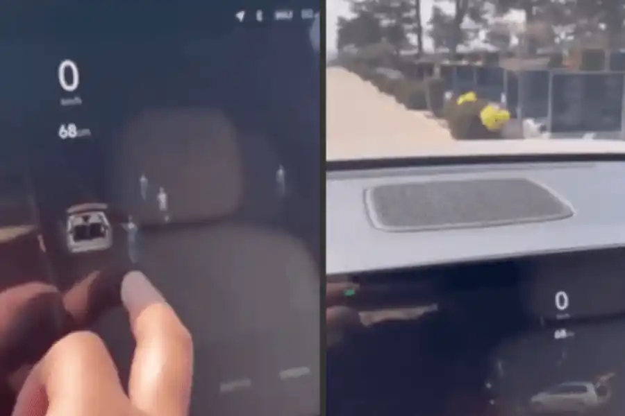 Video y debate paranormal: ¿fantasmas? rodean un auto en un cementerio