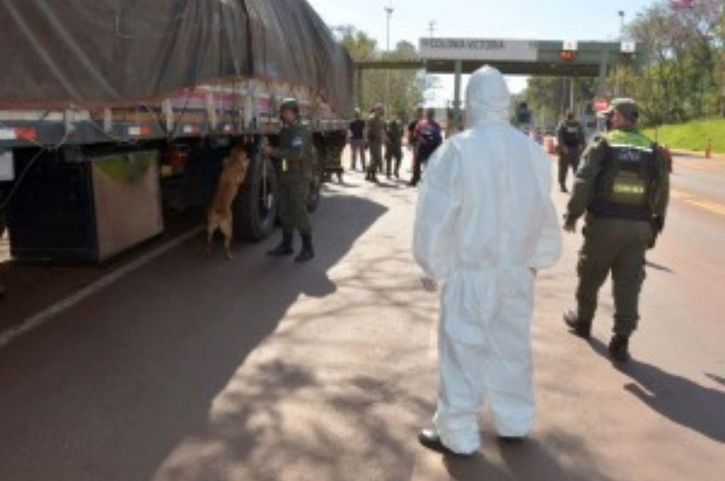 Secuestran marihuana que iban en un camión desde Brasil con rumbo a Córdoba