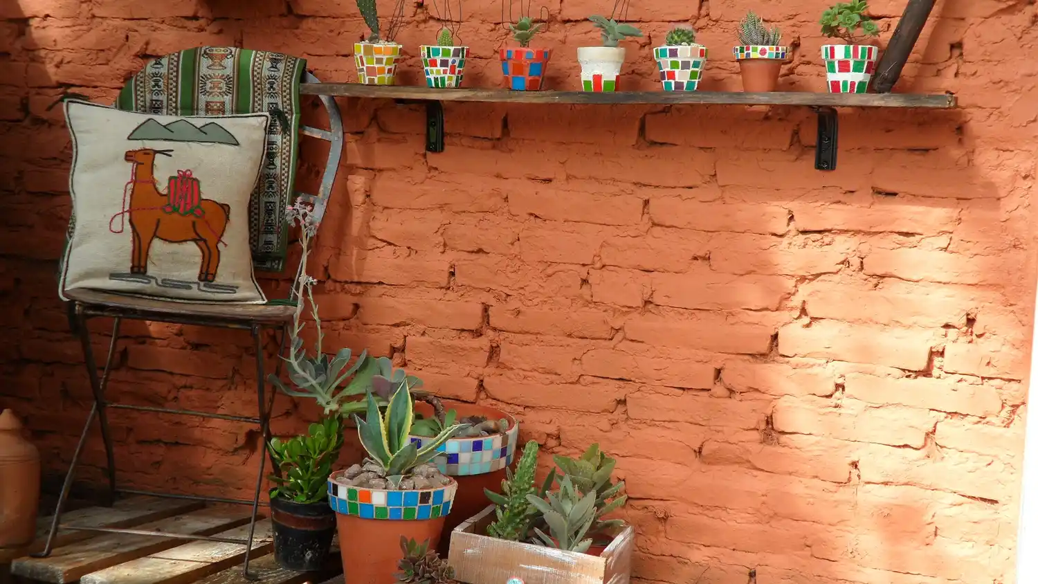 Encontrá en tu jardín la belleza del otoño