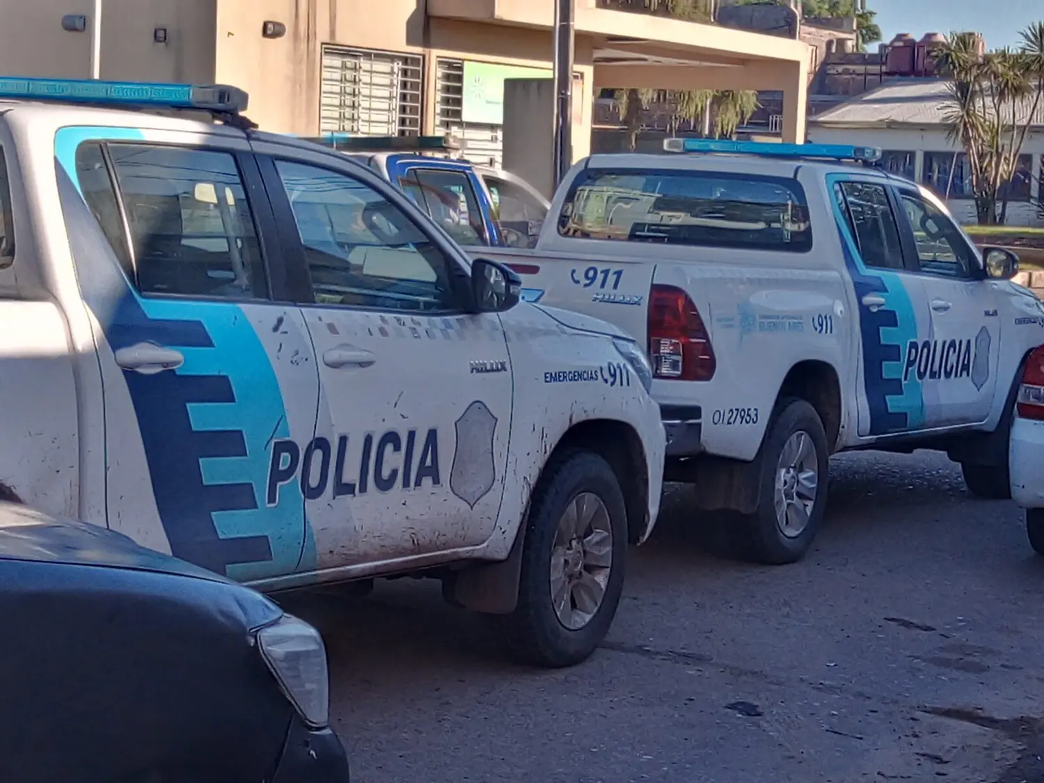 Matrimonio enfrentó a delincuentes en el patio de su casa: los ladrones huyeron cuando intervino el perro