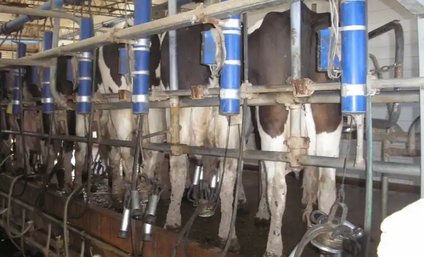 Aprobaron compensaciones para productores tamberos