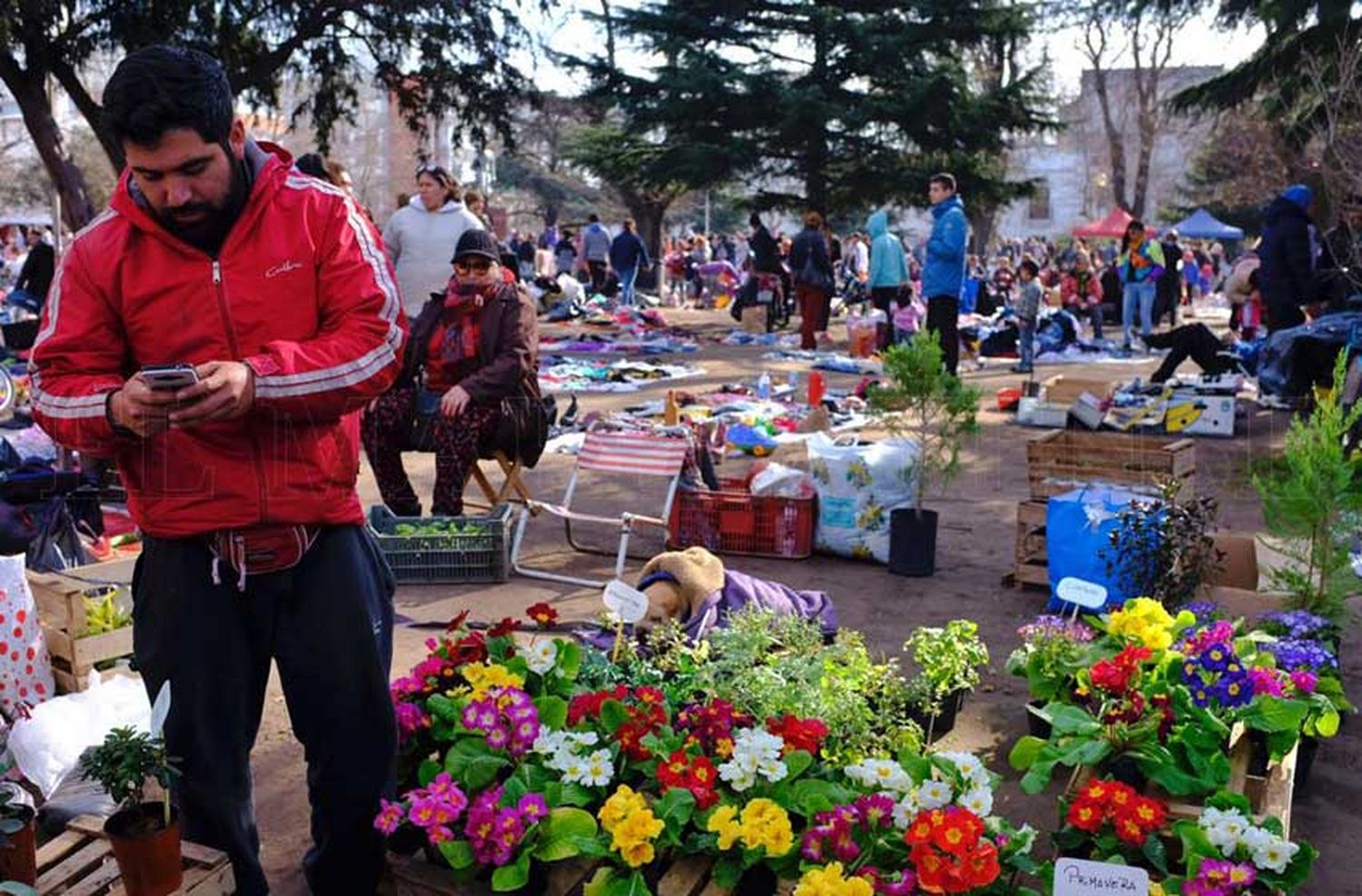 Plaza Rocha: "Si bien una bolsa de alimentos ayuda, no nos va a solucionar los problemas"