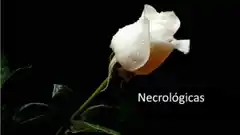 Necrológicas de este jueves 22 de abril  