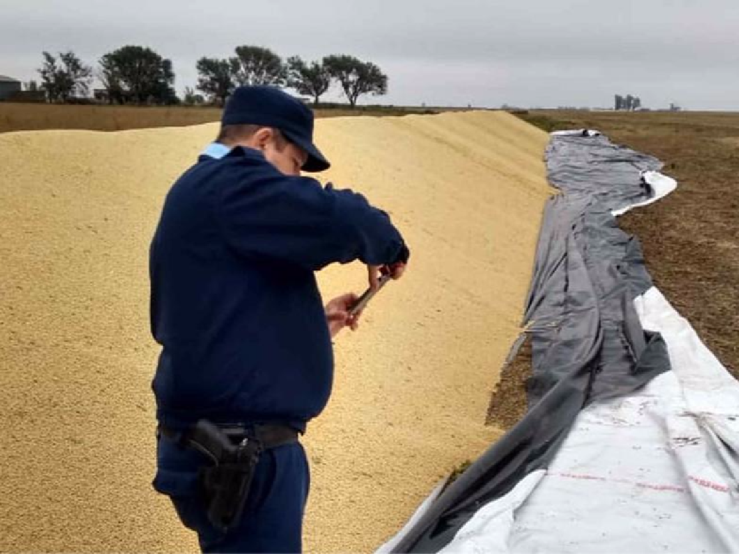 Las coberturas de seguros de silos bolsa subieron un 50%
