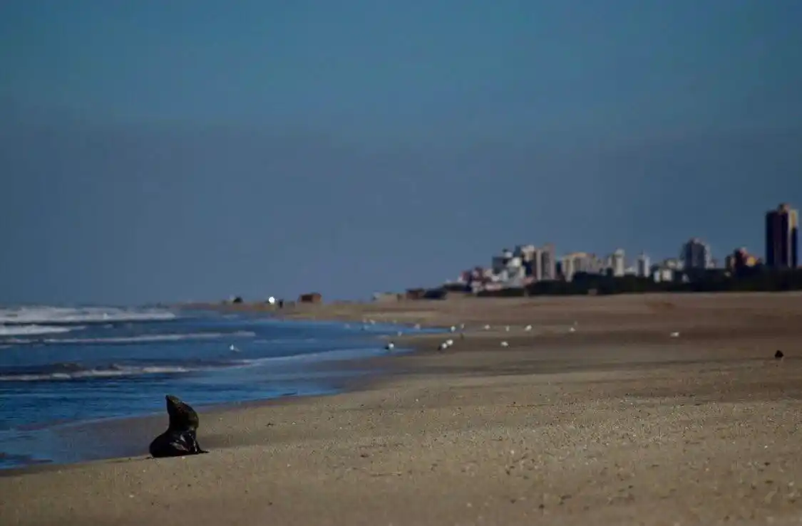 Propietarios no residentes: Villa Gesell trabaja en un protocolo para el acceso y en Mar Chiquita acusan "discriminación"