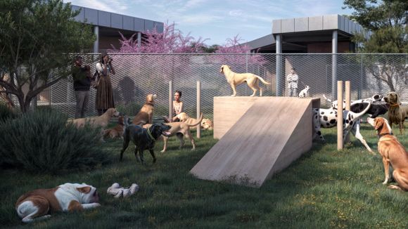 Inauguran un hotel para perros con spa y videollamadas en el aeropuerto de Roma-Fiumicino