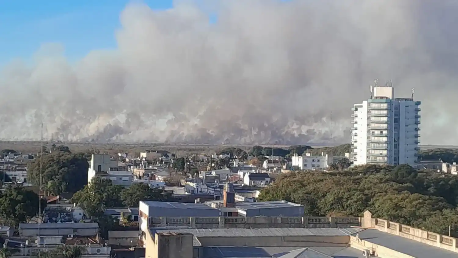 Incendio en las islas: un naturalista explicó por qué hoy el fuego es más peligroso que antes